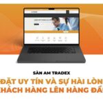AM Tradex 2