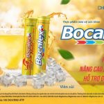 Bocalex 3